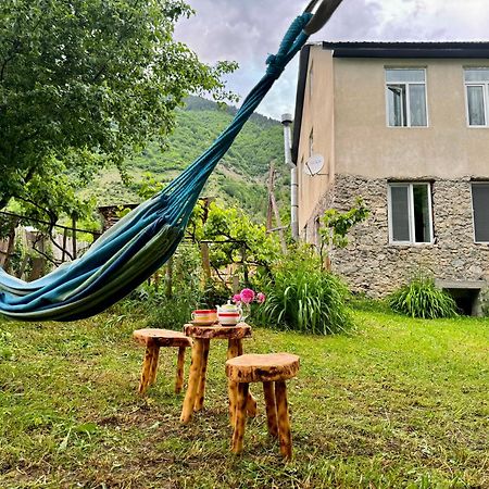Barbara'S Eco-Cozy Guesthouse ميستيا المظهر الخارجي الصورة