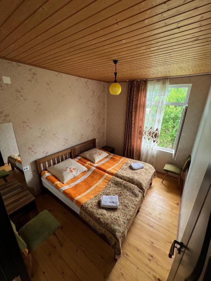 Barbara'S Eco-Cozy Guesthouse ميستيا المظهر الخارجي الصورة