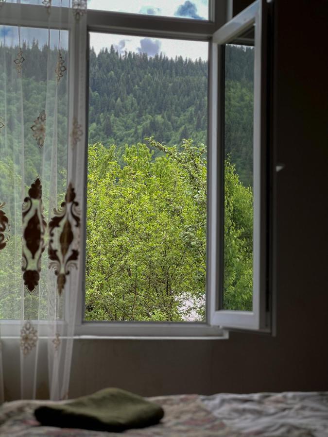 Barbara'S Eco-Cozy Guesthouse ميستيا المظهر الخارجي الصورة