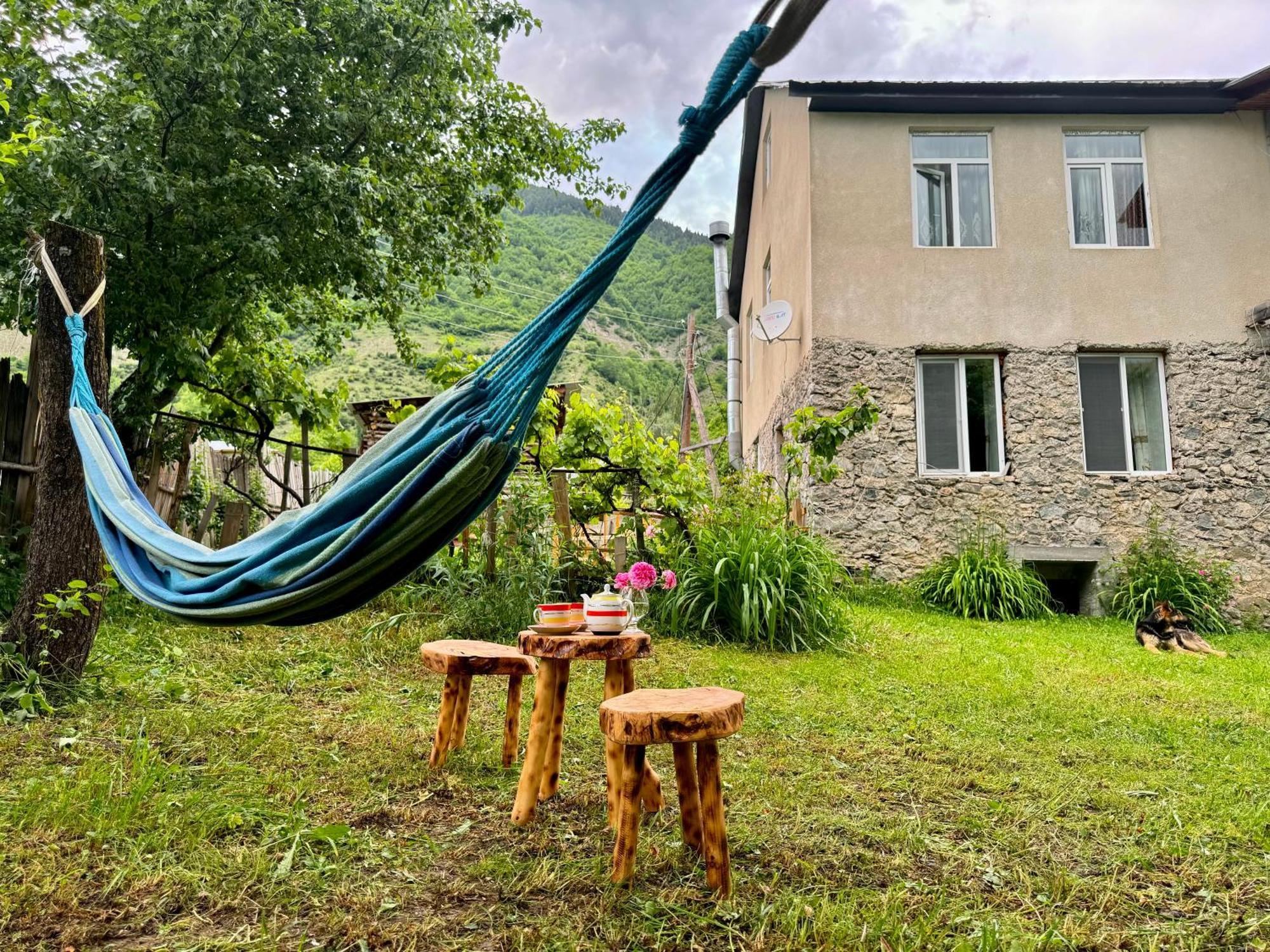 Barbara'S Eco-Cozy Guesthouse ميستيا المظهر الخارجي الصورة